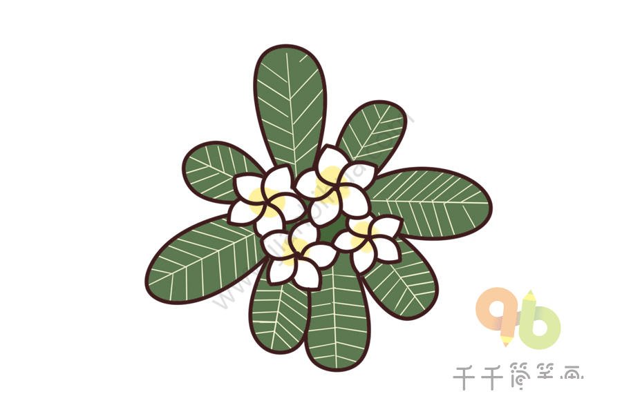 雞蛋花簡(jiǎn)筆畫第一步
