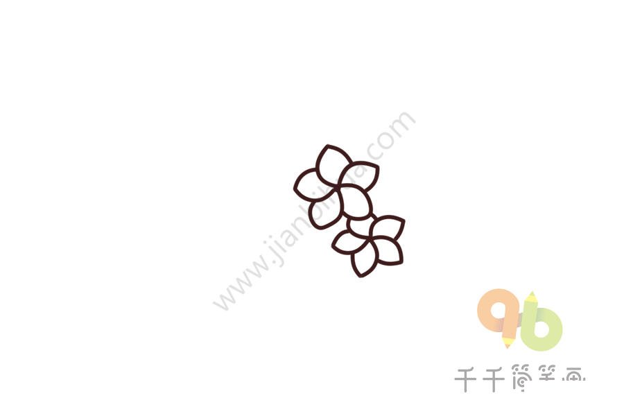 雞蛋花簡(jiǎn)筆畫第三步