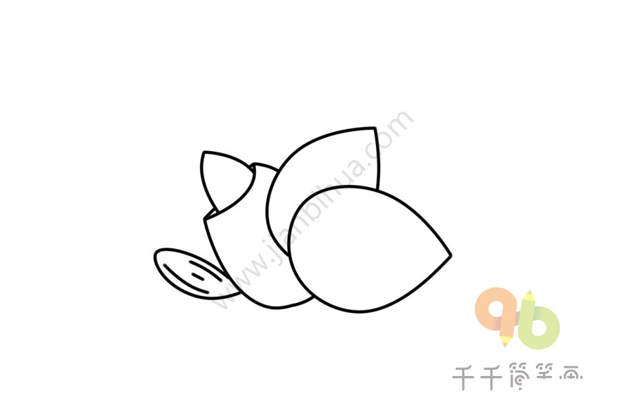 杏仁簡筆畫步驟三