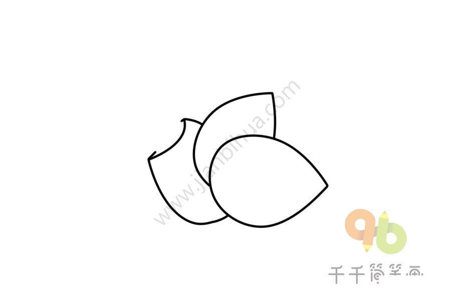 杏仁簡筆畫步驟二