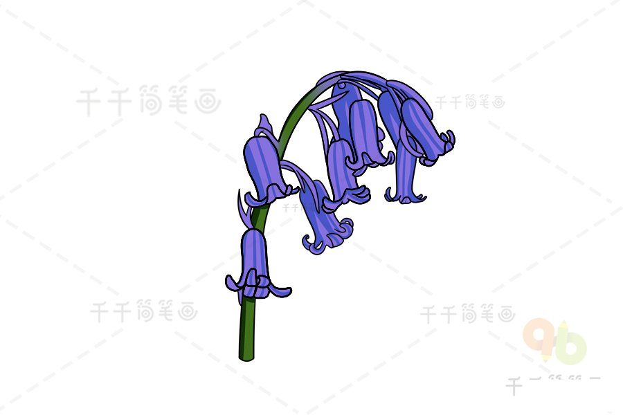 藍(lán)鈴花