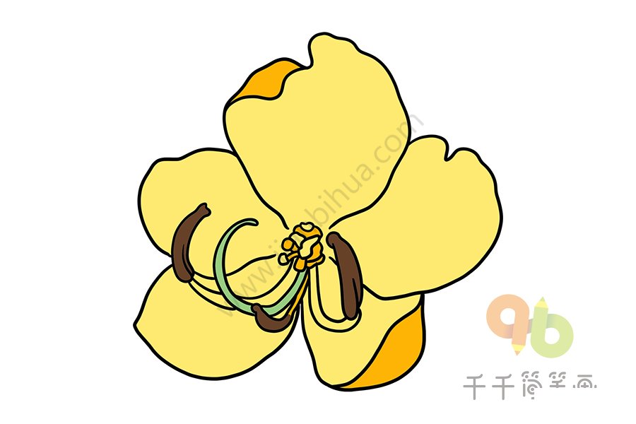 黃槐花簡筆畫示例