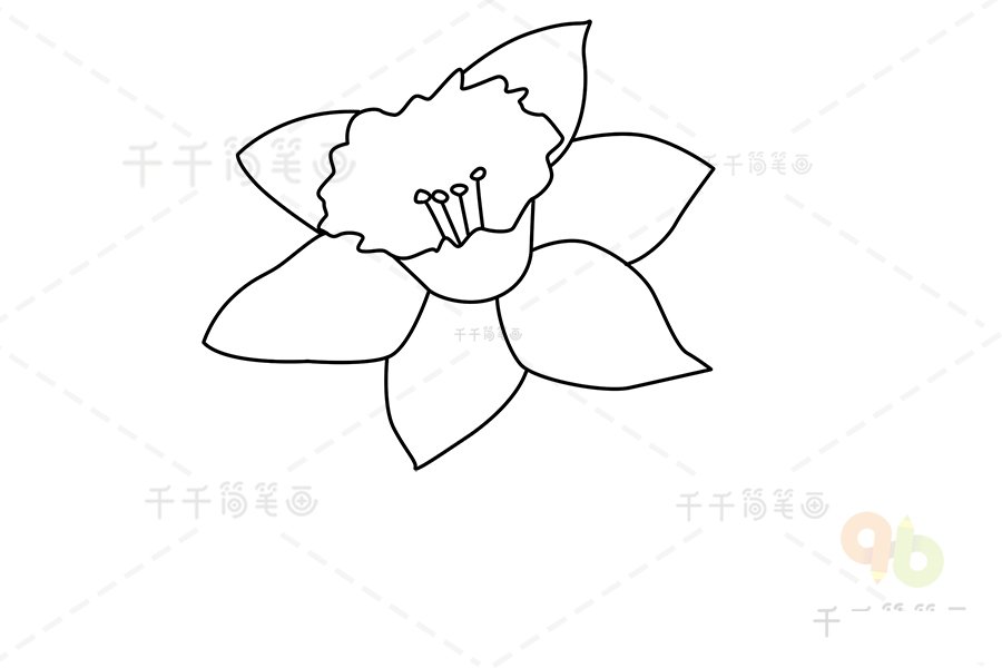 黃水仙簡(jiǎn)筆畫步驟4