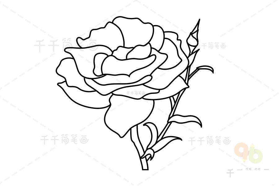 黃玫瑰簡筆畫完成