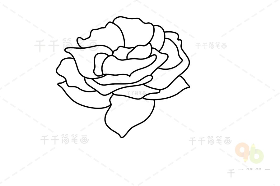 黃玫瑰簡筆畫花瓣