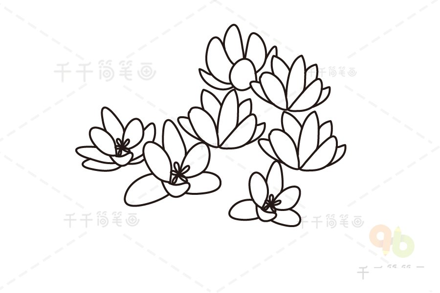黃番紅花簡筆畫一步步教程