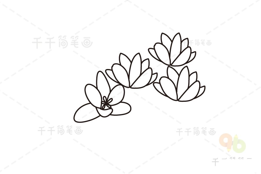 黃番紅花簡筆畫細節(jié)描繪