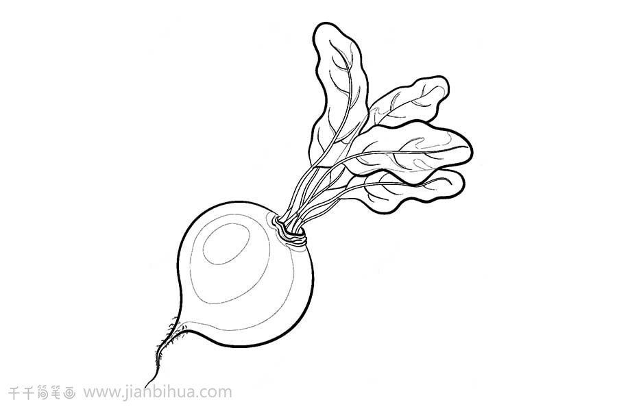 蘿卜簡(jiǎn)筆畫(huà)小丑
