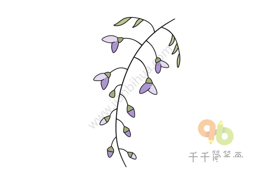 藤蘿簡筆畫