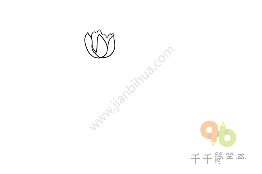 虎耳蘭簡(jiǎn)筆畫