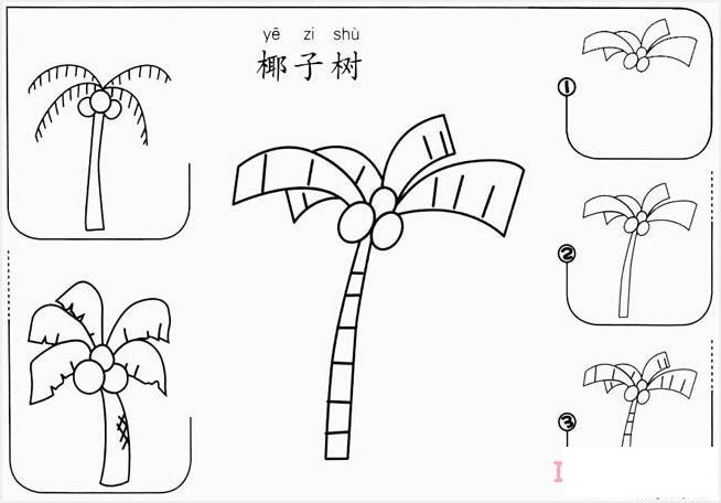 椰子樹的畫法步驟簡筆畫圖片簡單好看