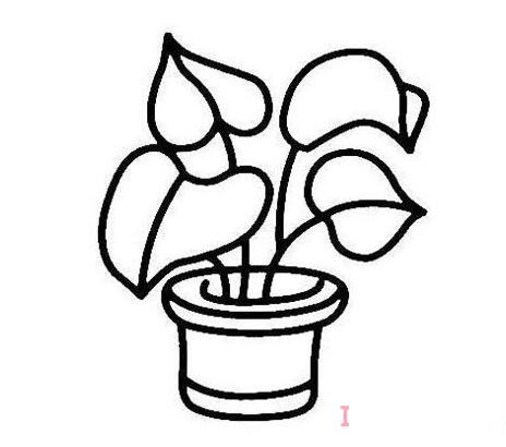 手繪綠蘿盆栽的畫(huà)法簡(jiǎn)筆畫(huà)圖片簡(jiǎn)單好看