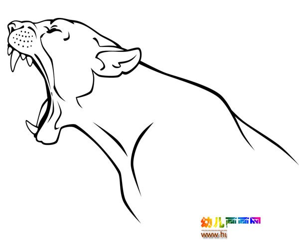 獵豹兒童簡(jiǎn)筆畫