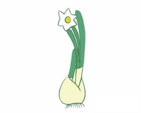 水仙花簡筆畫圖片