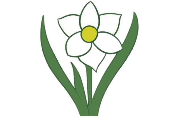 水仙花簡筆畫圖片