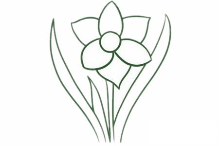 水仙花簡筆畫圖片