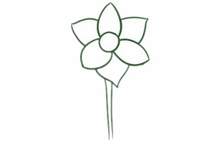 水仙花簡筆畫圖片