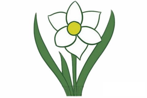 水仙花簡筆畫完成圖