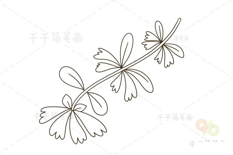 金銀花簡筆畫