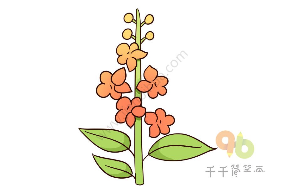 金魚草簡(jiǎn)筆畫一