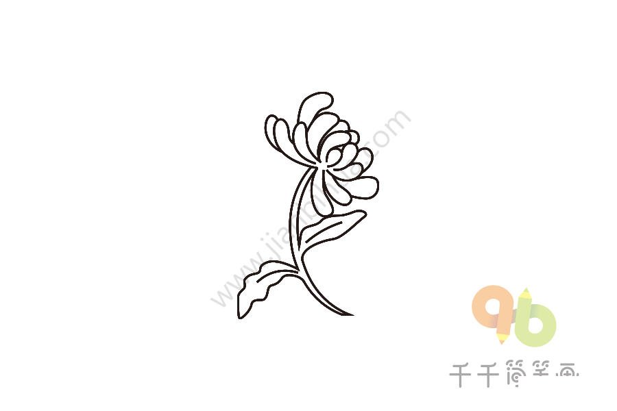 金黃色的菊花簡(jiǎn)筆畫(huà)