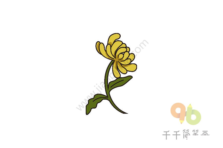 金黃色的菊花簡(jiǎn)筆畫(huà)