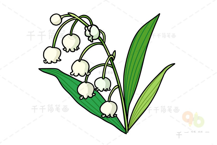鈴蘭圖片
