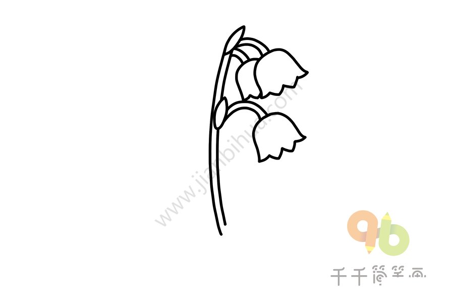 繪制花莖