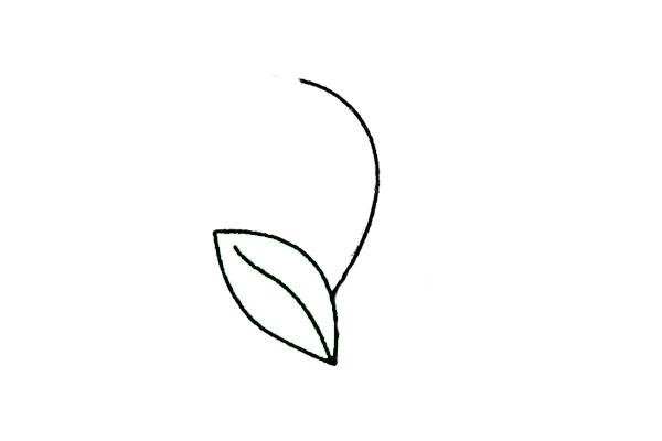 鈴蘭花簡筆畫獨(dú)特視角