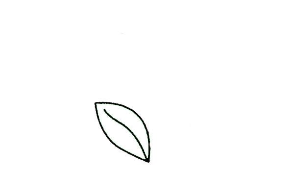 鈴蘭花簡筆畫細(xì)節(jié)