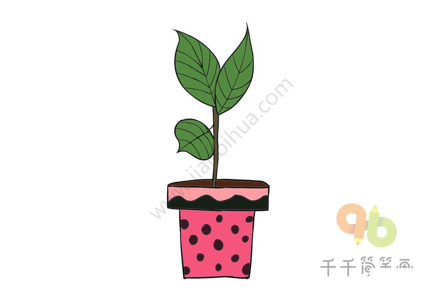 銀丹草葉片簡筆畫