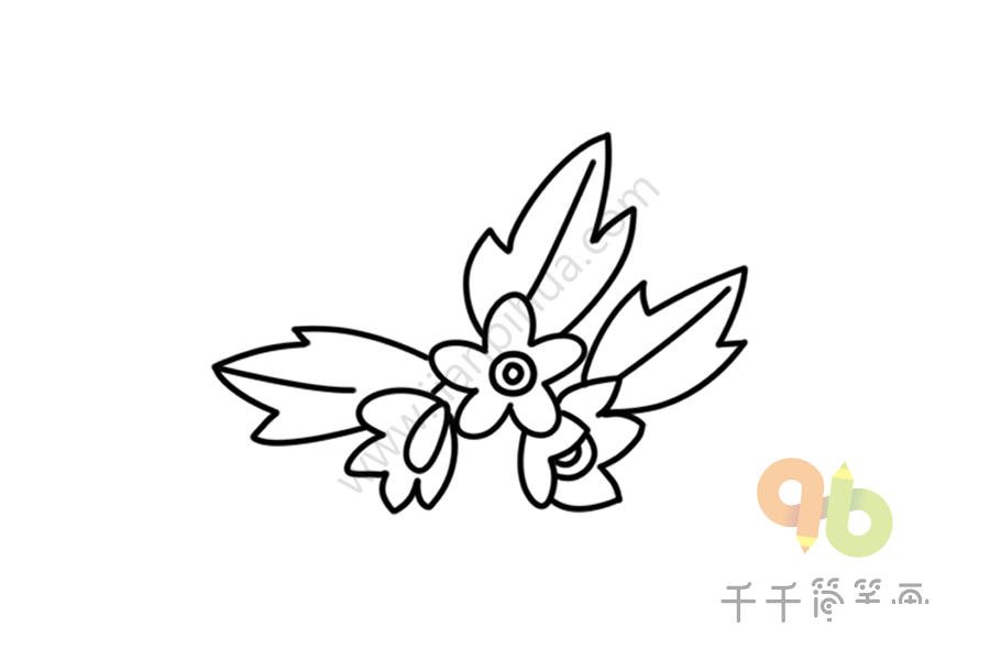 銀蓮草簡筆畫圖片