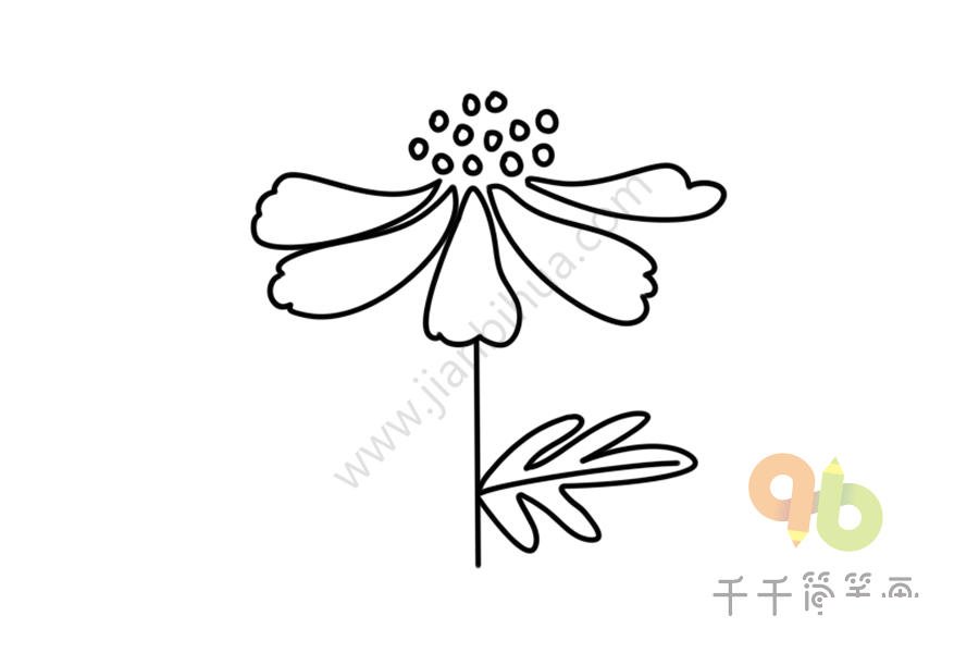 盛開(kāi)的銀蓮草簡(jiǎn)筆畫(huà)