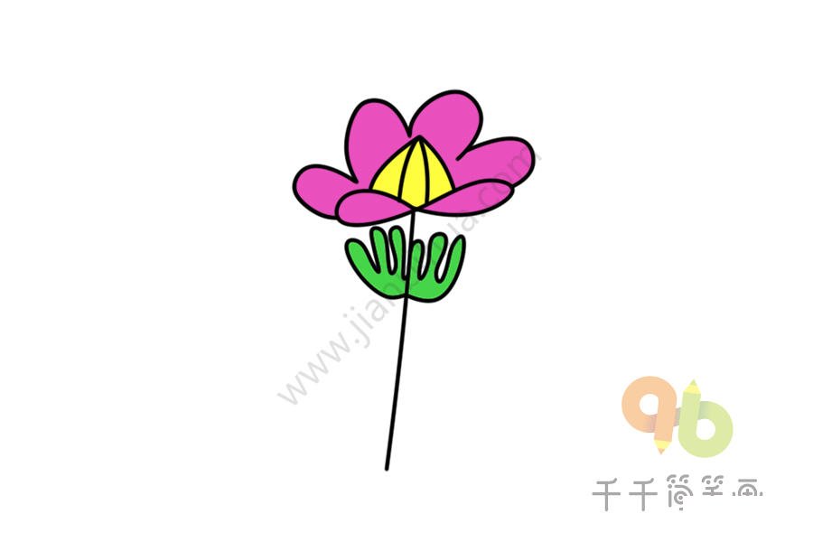 鮮艷的銀蓮草簡(jiǎn)筆畫(huà)