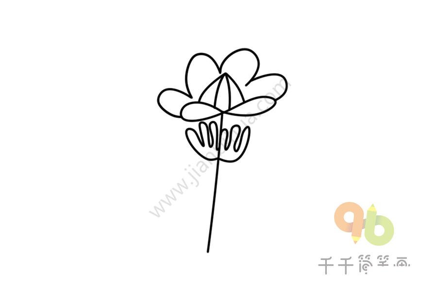 鮮艷的銀蓮草簡(jiǎn)筆畫(huà)
