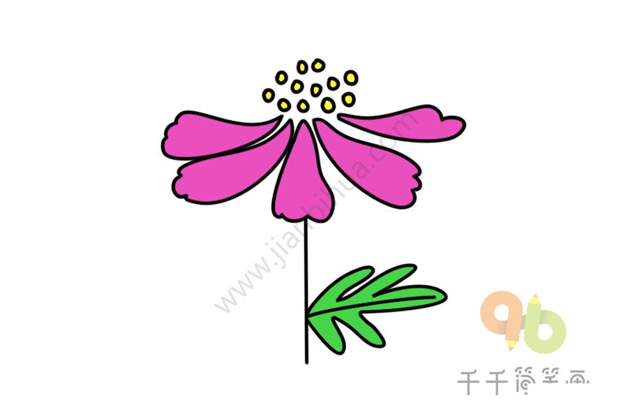 盛開(kāi)的銀蓮草簡(jiǎn)筆畫(huà)