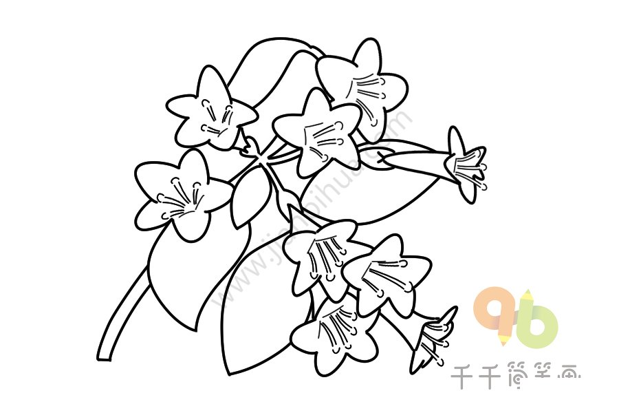 錦帶花圖片