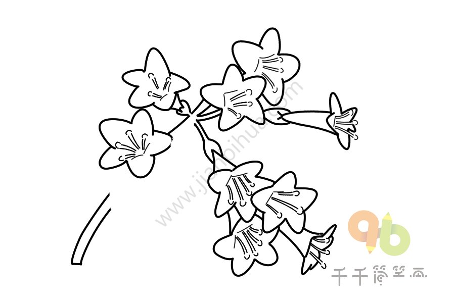 錦帶花簡(jiǎn)筆畫(huà)圖片大全