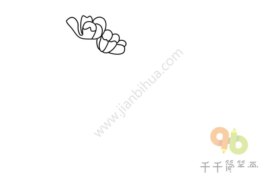 錦葵簡筆畫圖片