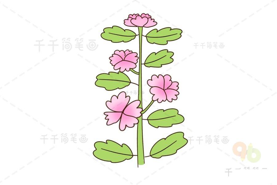 花朵簡筆畫大全