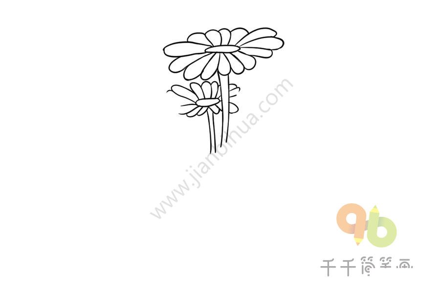 長壽花簡筆畫步驟四