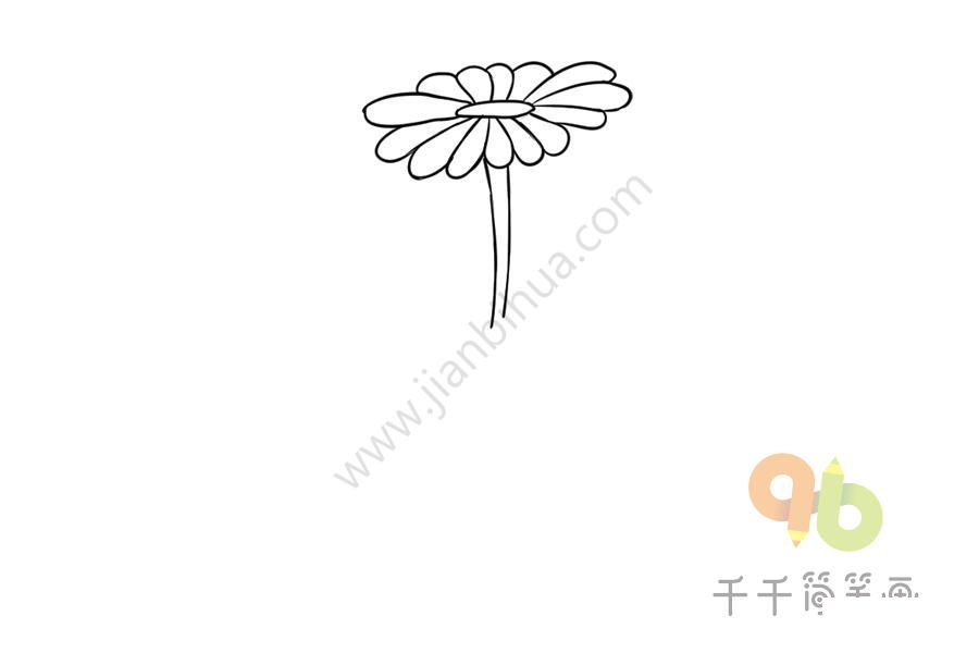 長壽花簡筆畫步驟三