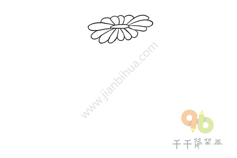 長壽花簡筆畫步驟二