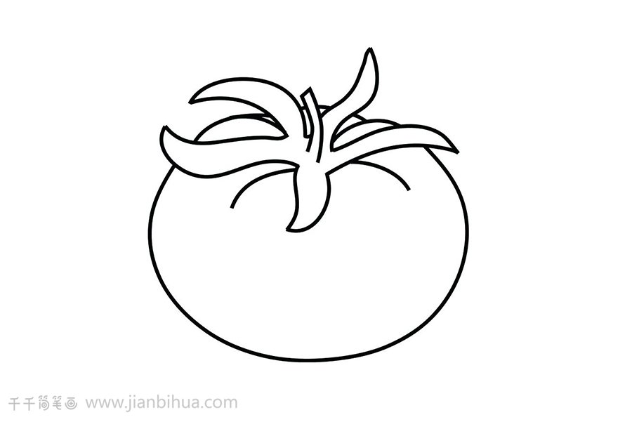 西紅柿簡(jiǎn)筆畫圖片示例