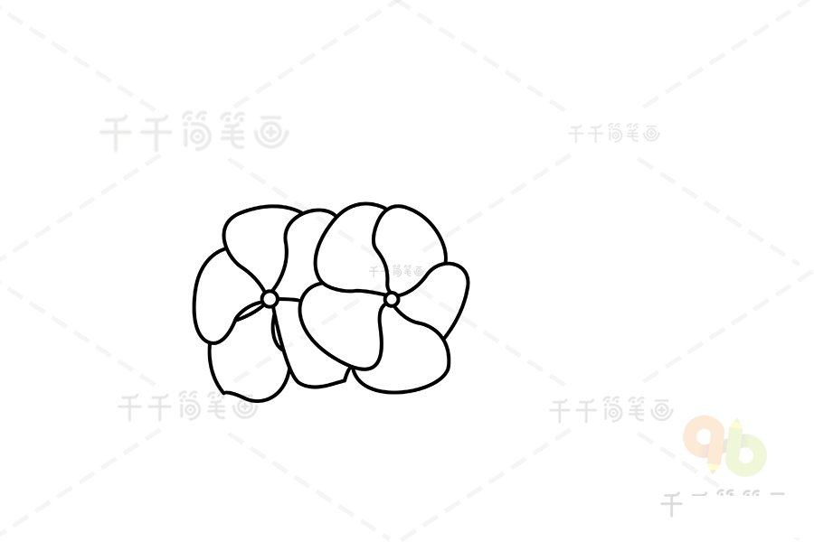 如何畫(huà)長(zhǎng)春花簡(jiǎn)筆畫(huà)