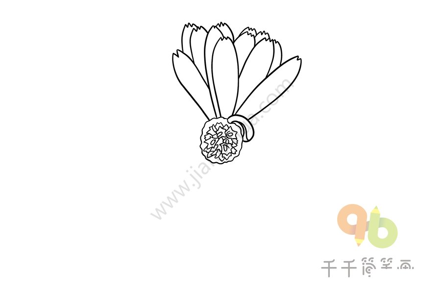 長春菊簡筆畫示例