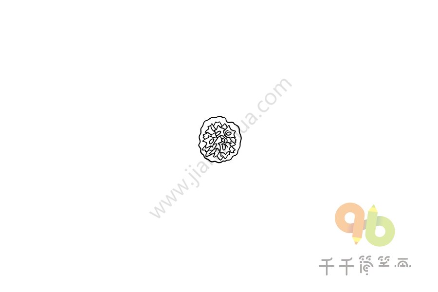 長春菊簡筆畫