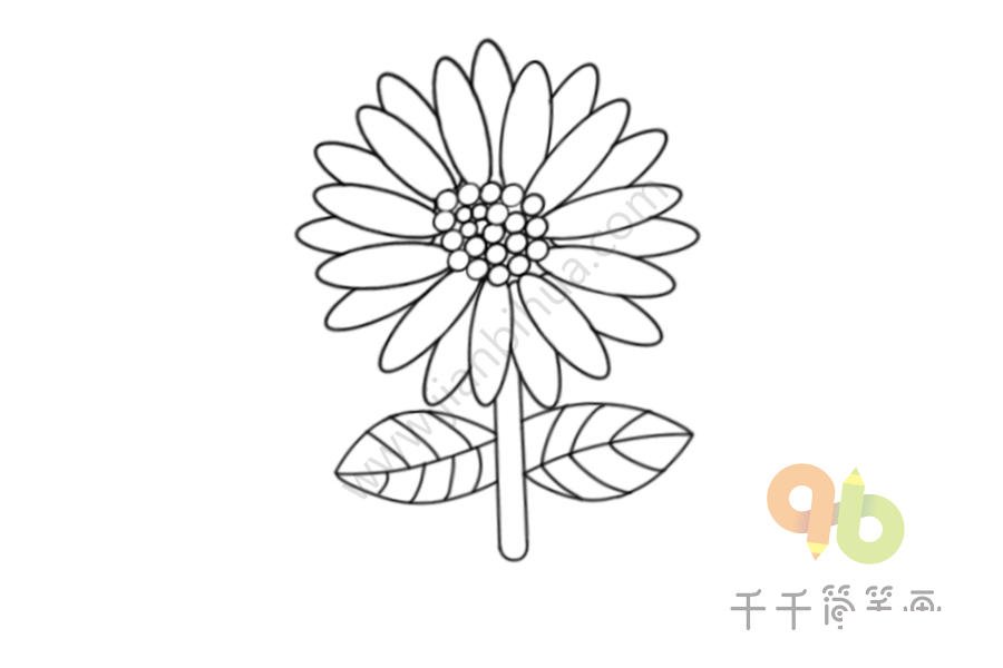 陽光溫暖的向日葵簡筆畫圖片