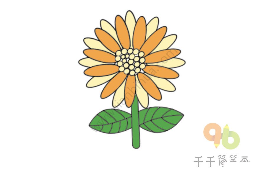 向日葵簡筆畫圖片