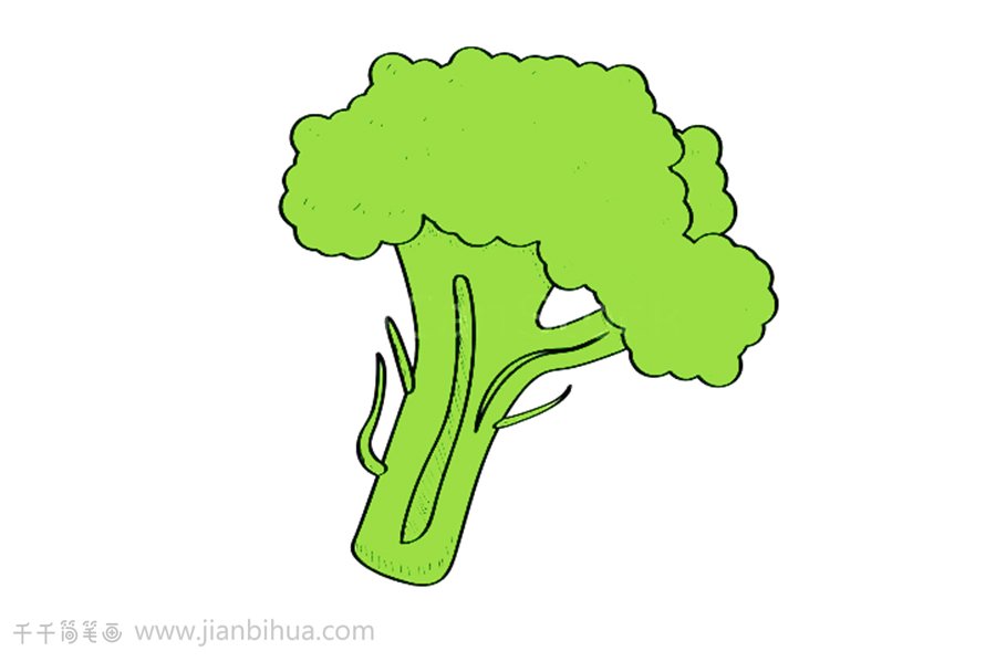 西藍花簡筆畫教程